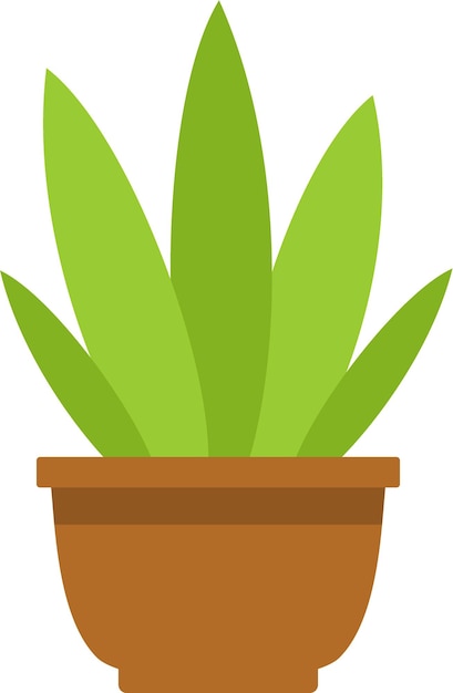 Vector home plant in pot in flat style