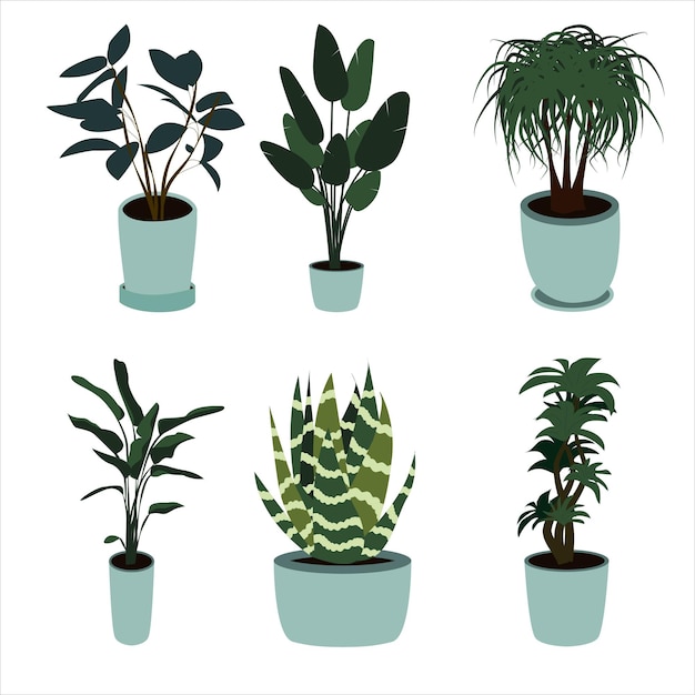 Home plant in a pot for interior decoration in illustration