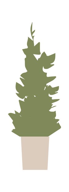 home plant in pot vector illustration