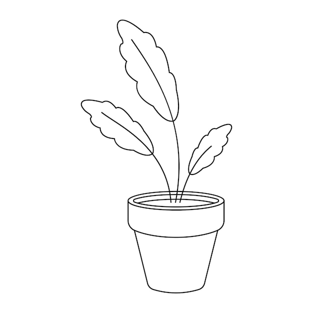 Home plant in a pot vector illustration