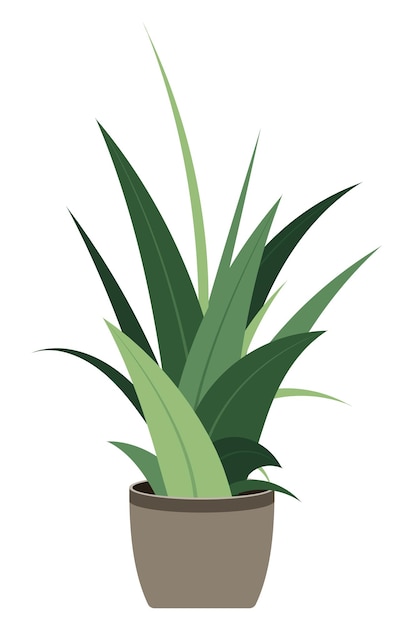 Vector home plant potplant geïsoleerd decoratieve groene kamerplant in pot plant in pot vector illustratie