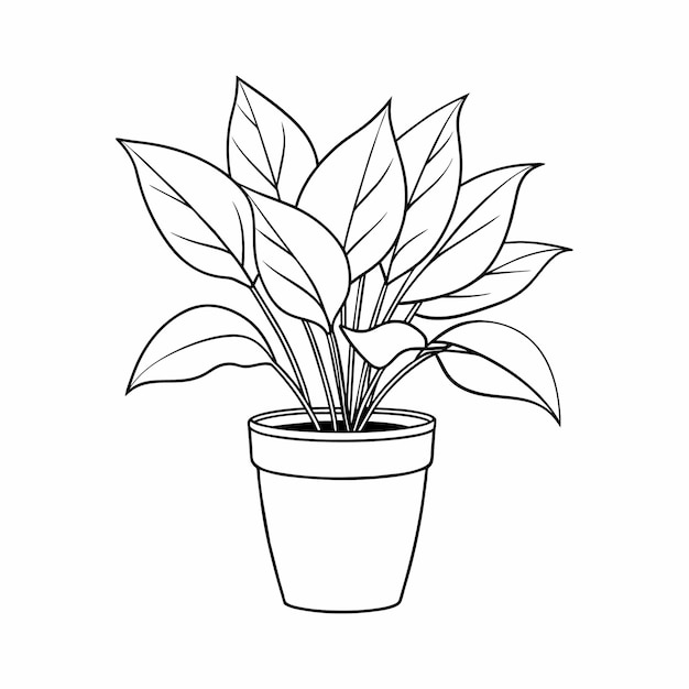 Vector home plant in pots sketch