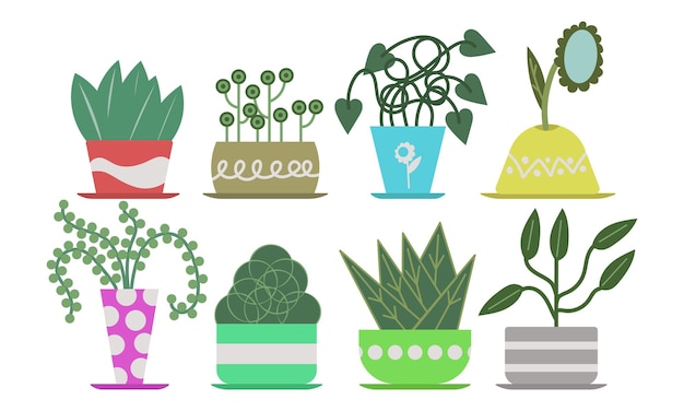 Vector home plant set decor jungle house collection planter succulent urban pot vector illustration