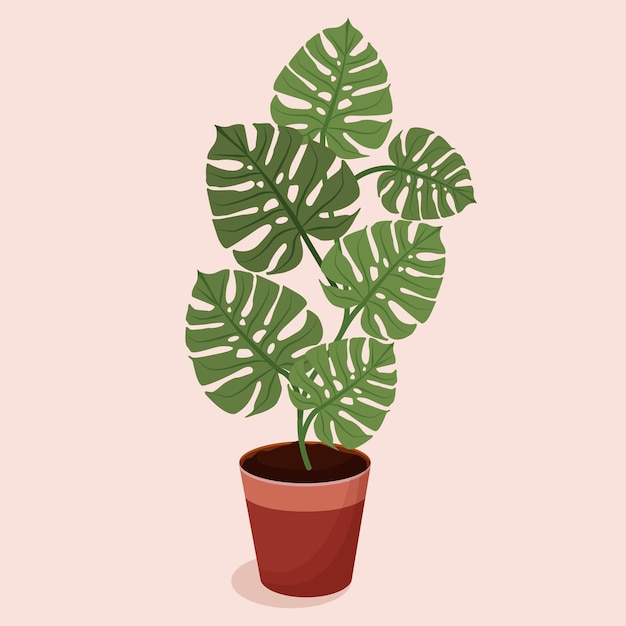 Vector home plant with leaves in a pot