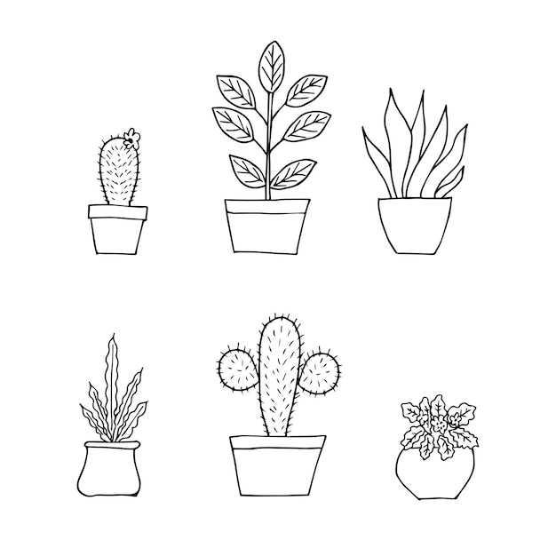 Home planten doodle set