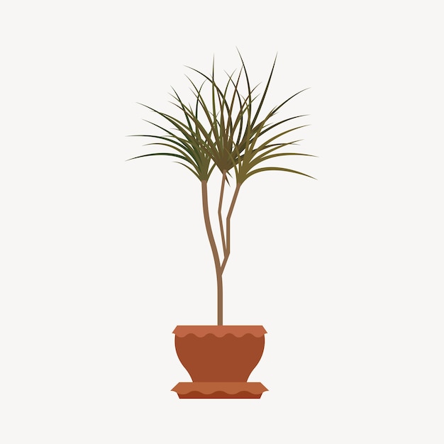 Vettore piante domestiche in un vaso di fiori. piante da appartamento isolate. illustrazione della pianta