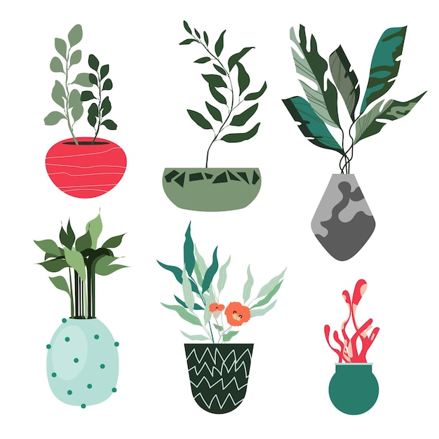 Home plants in a flower pot. Houseplants isolated. Trendy hugge style, urban jungle decor. Drawn