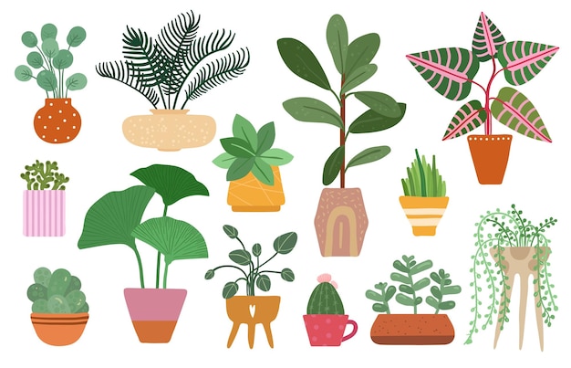 Vector home plants isolated plant in pot planting ficus yucca and fern tropical houseplant and succulents indoor trees vector garden set illustration garden home flower green decorative collection