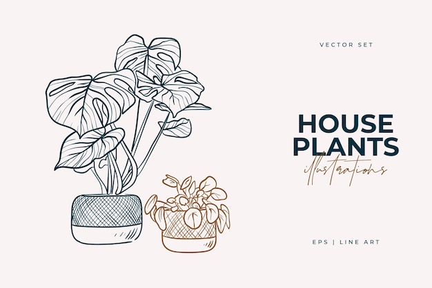 Vector home plants isolated on a white background collection of indoor plants in pots home decor