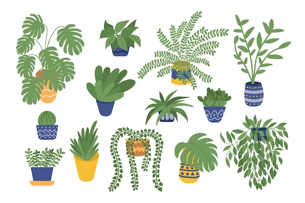 Home plants in pot big vector set houseplant vector illustration set Cactus flower palm money tree monstera aloe leaf plant succulent Flat style plants illustration