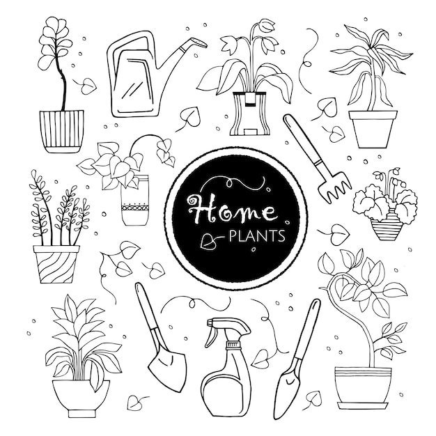 Home plants in a pot inventory for the care of house plants leaves and twigs black and white set
