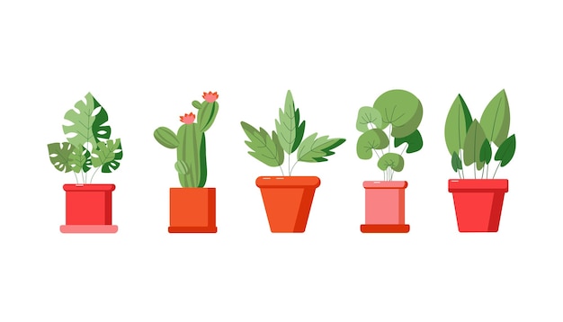 Home plants set2