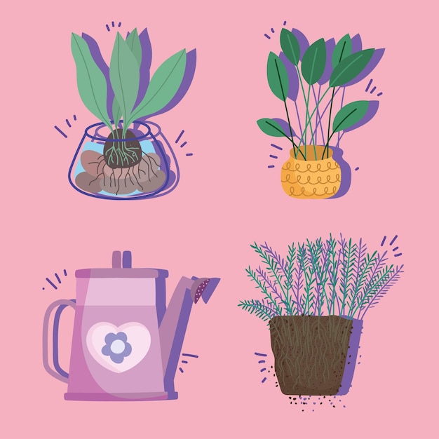 Набор домашних растений