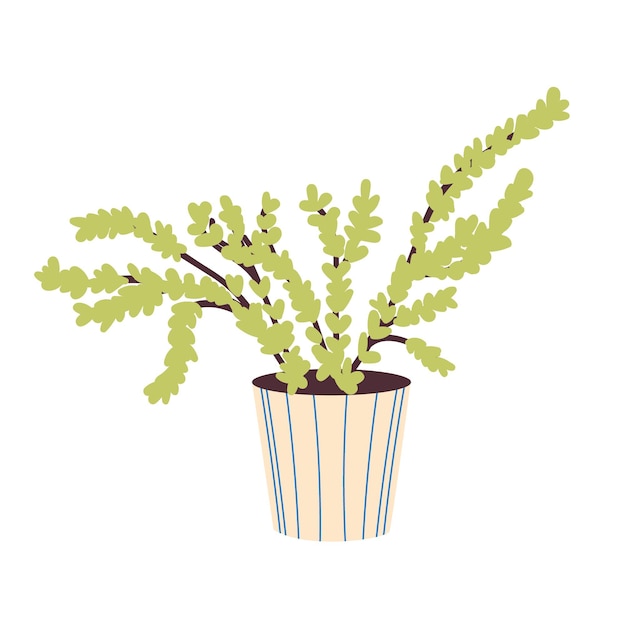 A homemade plant with long branches in a beige ceramic pot. Vector illustration
