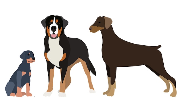 Hond en puppy in vlakke stijl, vector, geïsoleerd