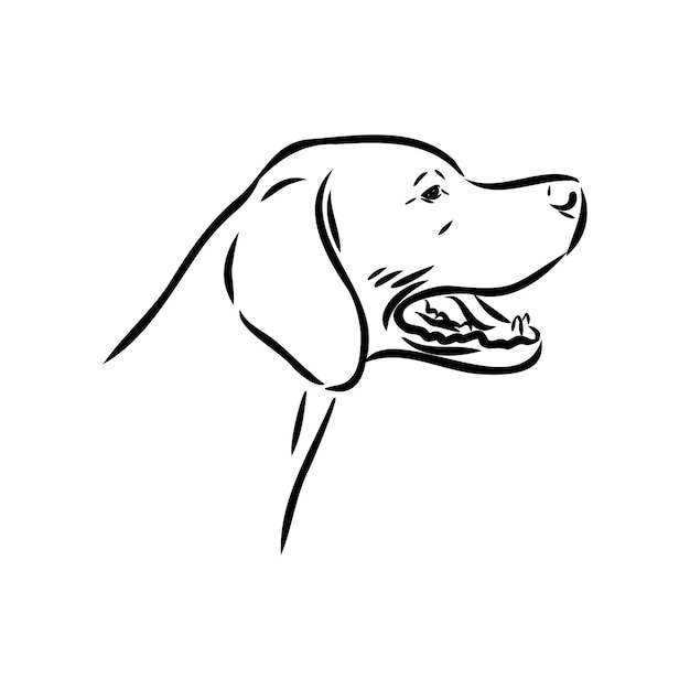 Hond hand getrokken aanwijzer vectorillustratie geïsoleerd