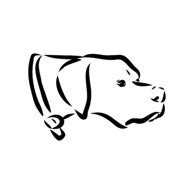 Hond hand getrokken aanwijzer vectorillustratie geïsoleerd