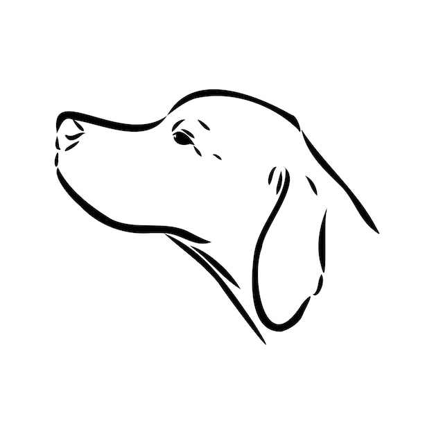 Hond hand getrokken aanwijzer vectorillustratie geïsoleerd