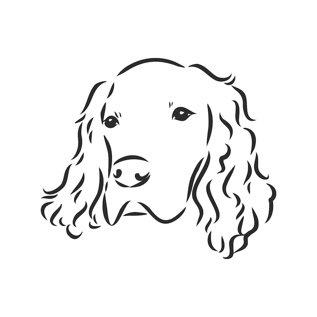 Hond hand getrokken engelse setter vector illustratie geïsoleerde setter vector schets