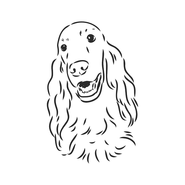 Hond Hand getrokken Engelse setter Vector illustratie geïsoleerde setter vector schets