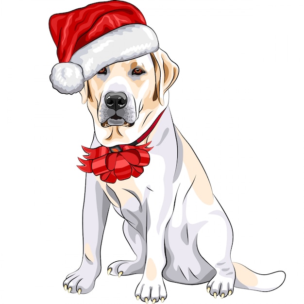 Hond labrador in de hoed van de kerstman met kerst strik