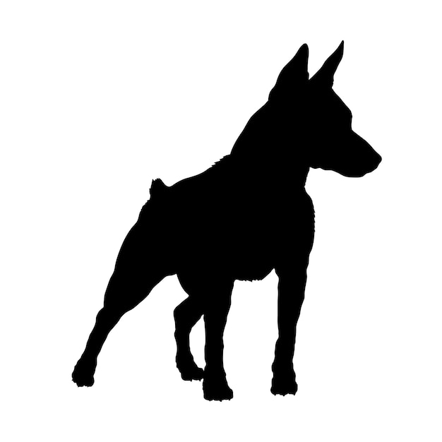 Hond silhouet hond miniatuur pinscher rassen logo hond monogram hond gezicht vector zitten liggen rennen