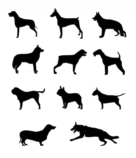 Hond silhouet