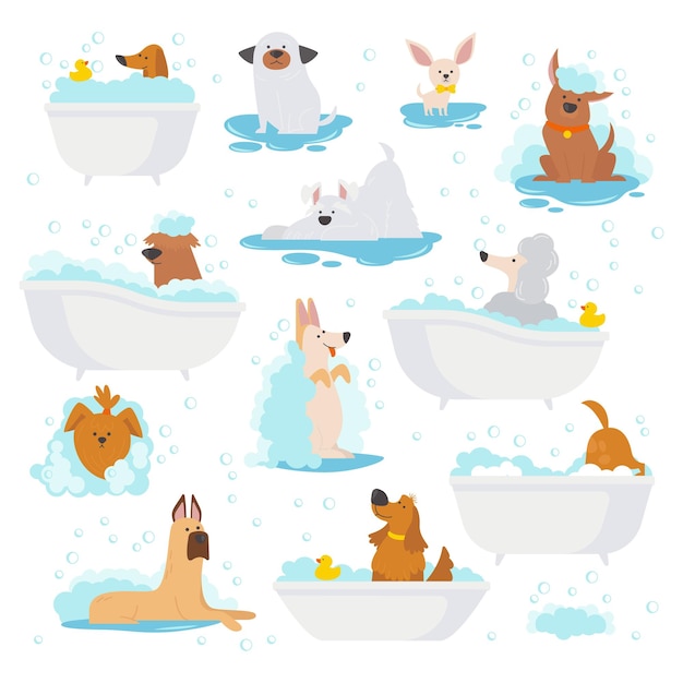 Vector honden baden platte iconen set verzorging van verschillende honden happy chihuahua spaniel poedel was jas met shampoo speciale biologische producten liefde en zorg voor huisdieren kleur geïsoleerde illustraties