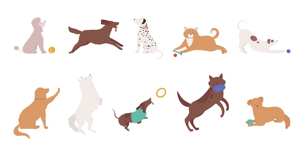 Honden huisdieren spelen illustratie set.