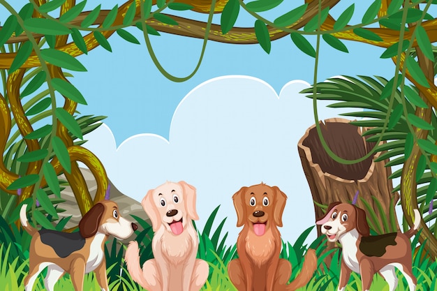 Honden in jungle scene