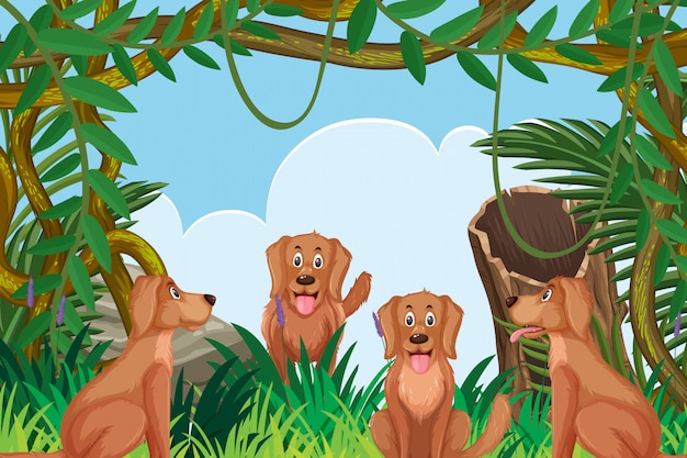 Honden in jungle scene