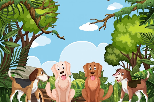 Honden in jungle scene