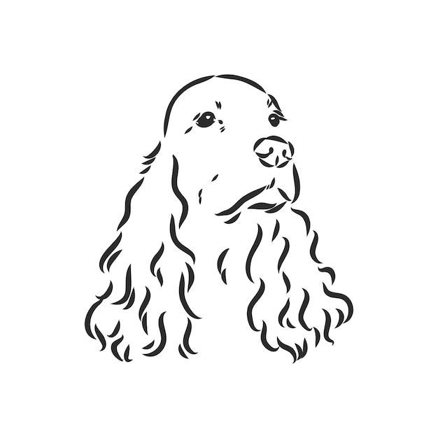 Hondenras cocker spaniel snuit, schets vectorafbeeldingen zwart-wit tekening