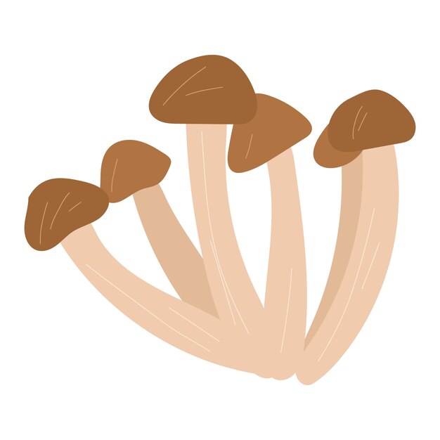 Honey agaric mushroom vector hand drawn cartoon illustration isolated on white background.