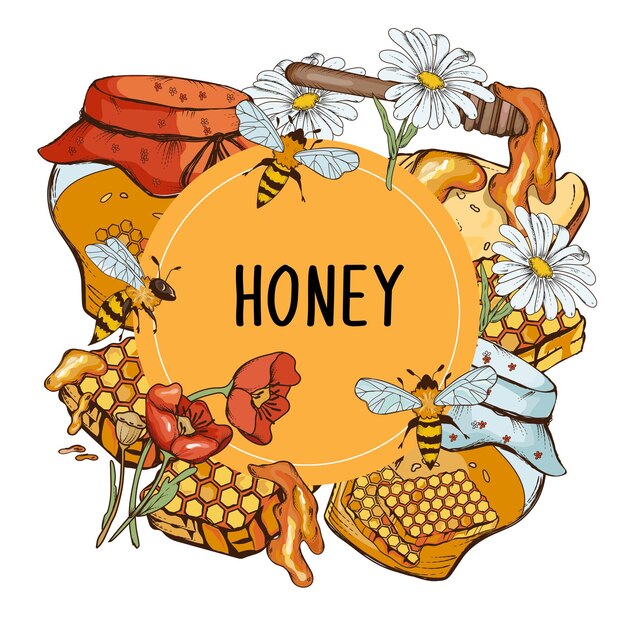 Honey banner or label frame design hand drawn engraved illustration isolated