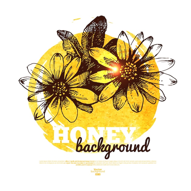 Vector honey banner with hand drawn sketch and watercolor illustration