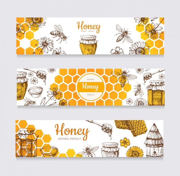 Honey banners. vintage hand drawn bee and honeyed flower