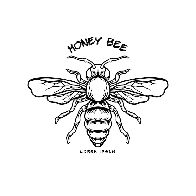 Honey bee animal illustration