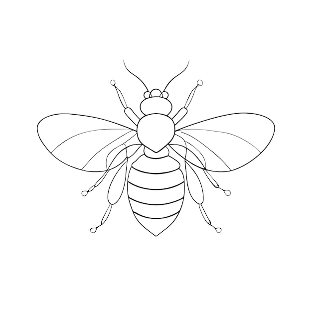 honey bee art in single line for a coloring book