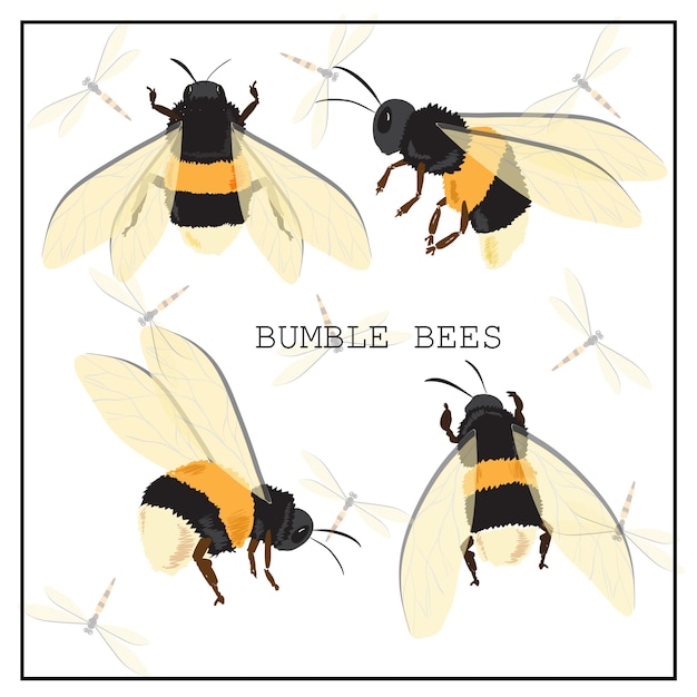 Honey bee set