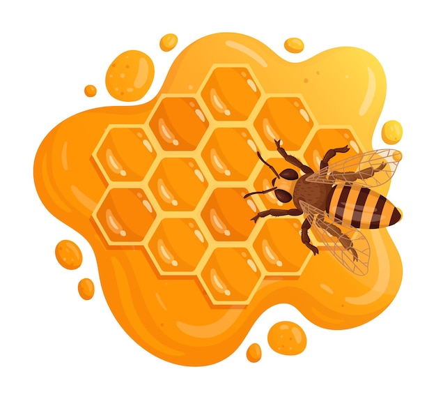 Premium Vector  Honey bee sitting on honeycomb cartoon honey comb with  sweet melting honey honeycraft and beekeeping flat vector illustration