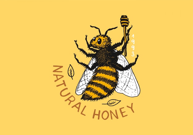 Honey and bees. Vintage logo for typography, shop or signboards.