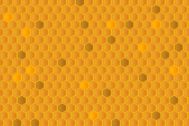 Honey comb pattern background hexagon bee hive filled vector illustration