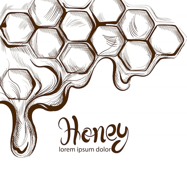 Honey combs line art