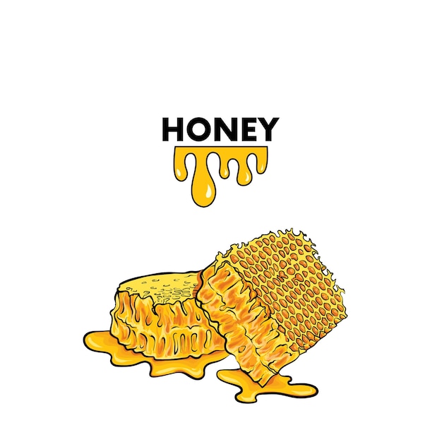 Honey combs  realistic illustration with objects isolated on a white background