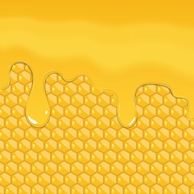 Vector honey dripping isolated on honey combs