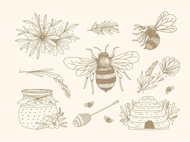 Vector honey farm logo template and honey farm illustrations set