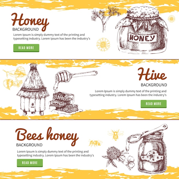 Set di banner disegnati a mano di miele