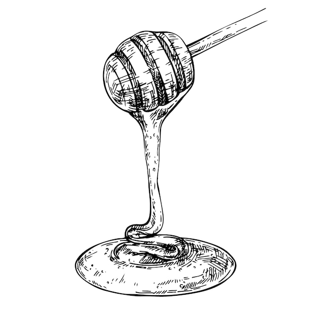 Honey is dripping from the wooden spoon Sketch Graphic honey flowing Inh hand drawn illustration