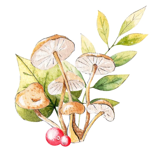 Honey mushrooms with leaves on the background